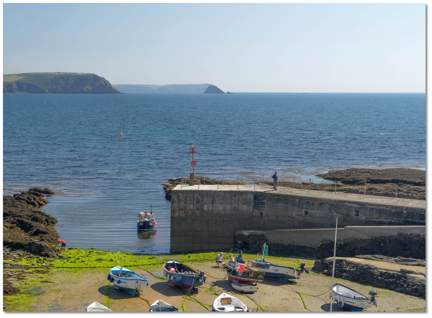 gull-rock-portscatho